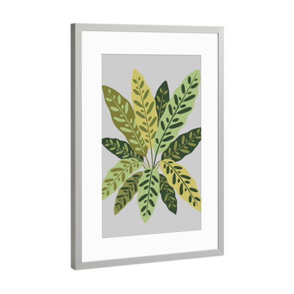 Poster mit Rahmen Silber "Calathea Silhouette" artboxONE - Floral