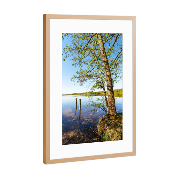 Poster mit Rahmen Kupfer "Bäume und Dalben" artboxONE - Natur,Reise