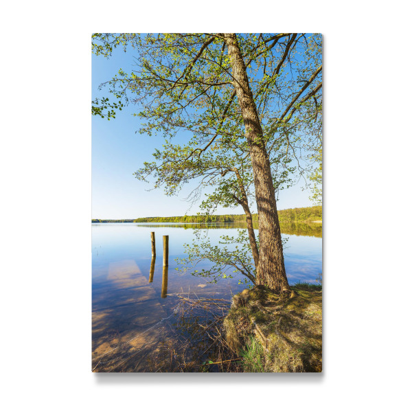 Galerie-Print "Bäume und Dalben" 30x20 cm artboxONE