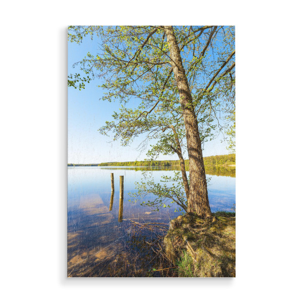 Holzbild "Bäume und Dalben" artboxONE - Natur,Reise