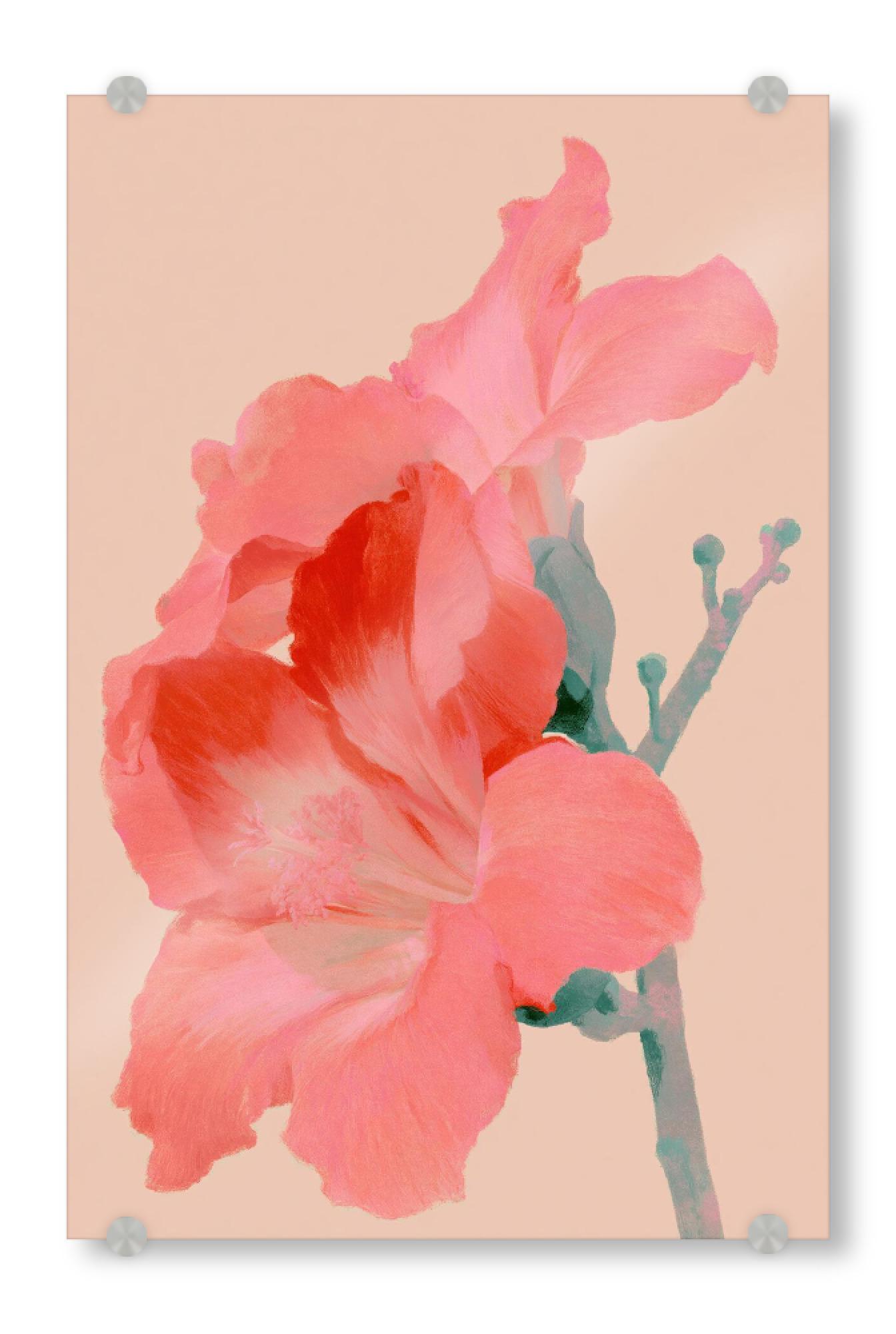 Acrylglasbild "Sanfte Kapokblüte im Frühling" artboxONE - Natur,Floral,Abstrakt