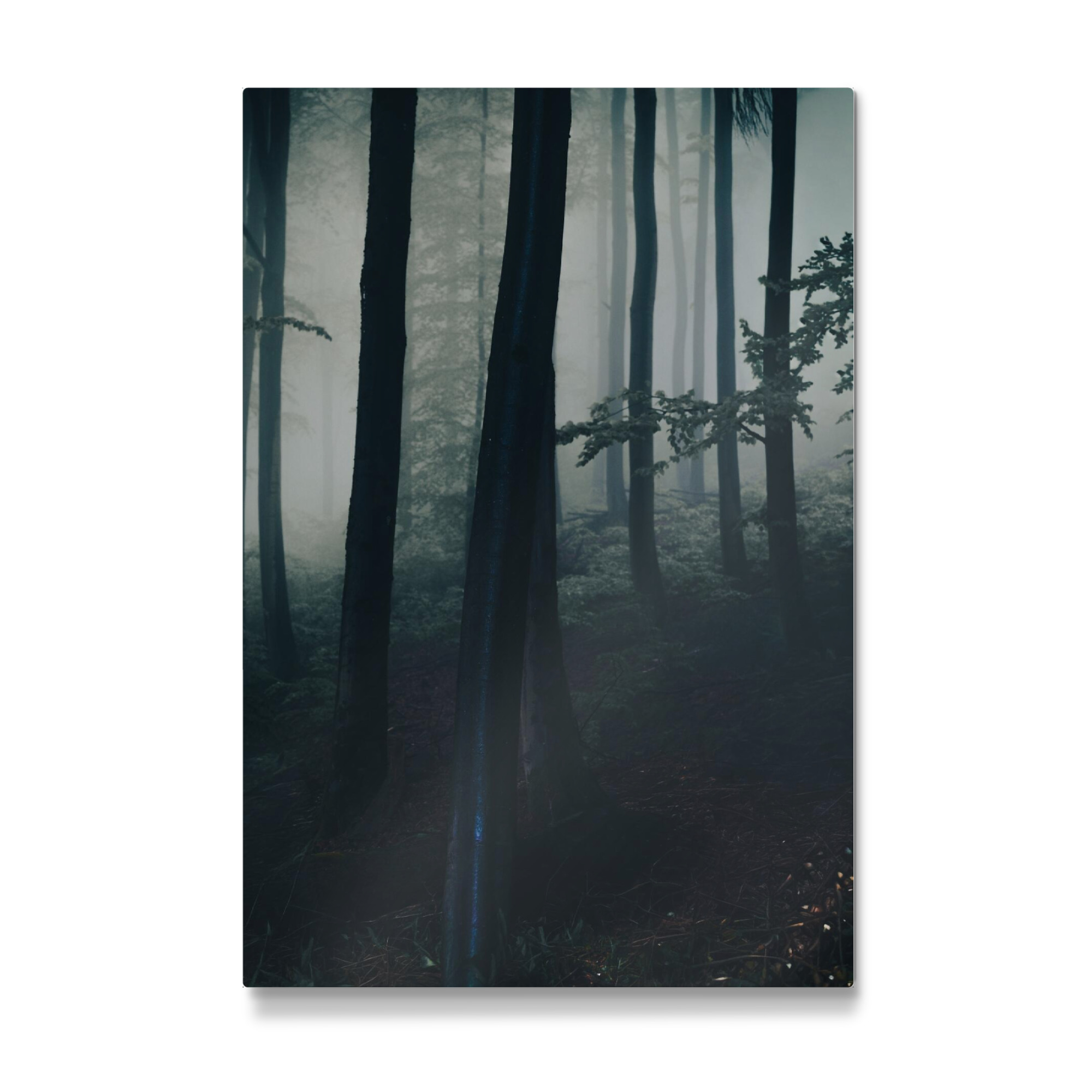 Galerie-Print "Mystischer Nebelwald" 75x50 cm artboxONE