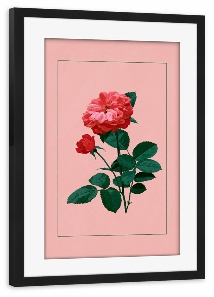 Poster mit Rahmen schwarz "Gerahmte Rose" artboxONE - Floral,Für Mama - Rose,Blume,Blumen,Floral,Illustration,Rosa