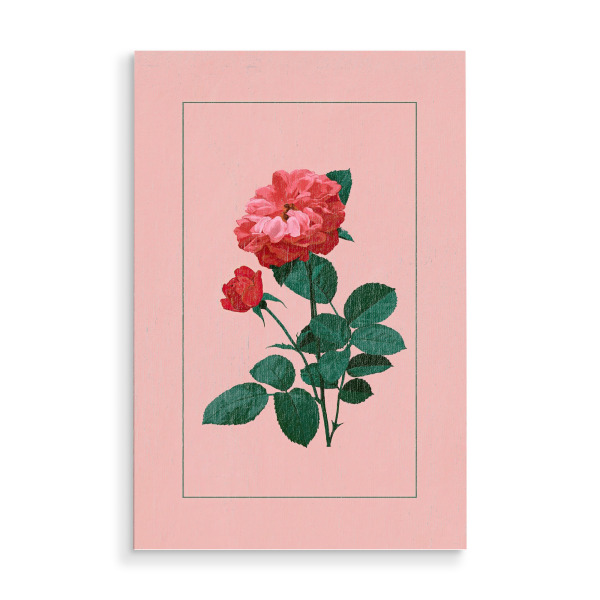 Holzbild "Gerahmte Rose" artboxONE - Floral,Für Mama - Rose,Blume,Blumen,Floral,Illustration,Rosa