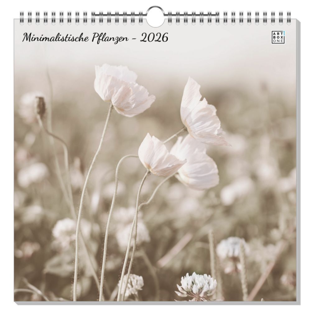 artboxONE Wandkalender Quadratisch 2023 Minimalistische Pflanzen Pflanzen