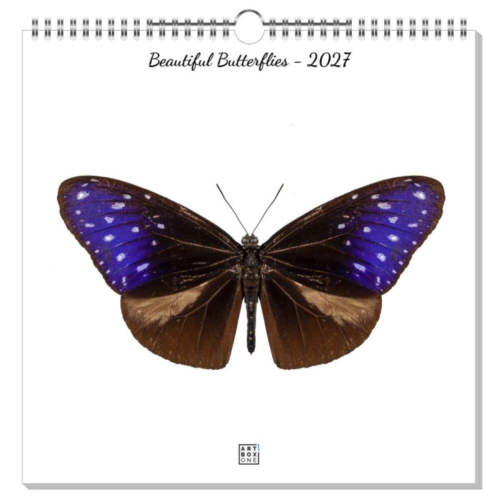 artboxONE Wandkalender Quadratisch 2026 Beautiful Butterflies Schmetterlinge