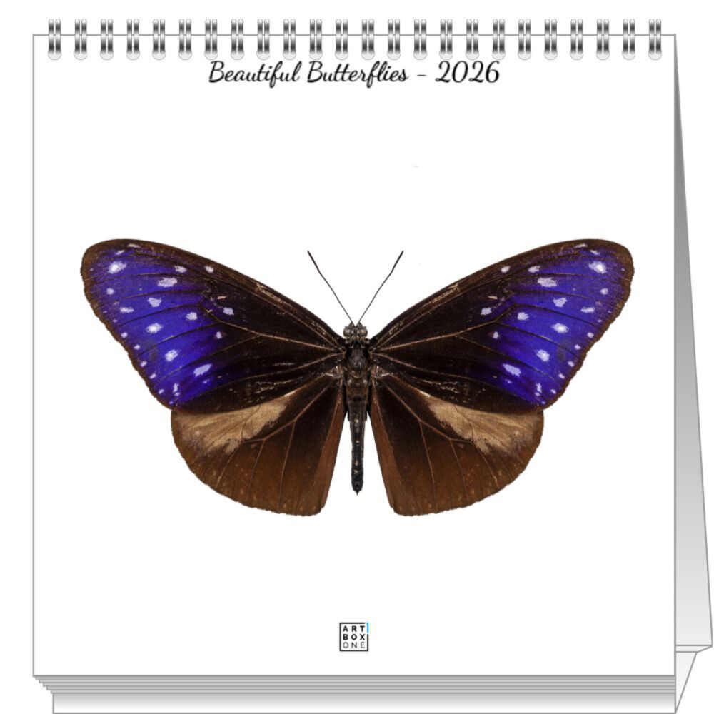 artboxONE Mini-Tischkalender 2026 Beautiful Butterflies Tischkalender Klein 2026 Tiere