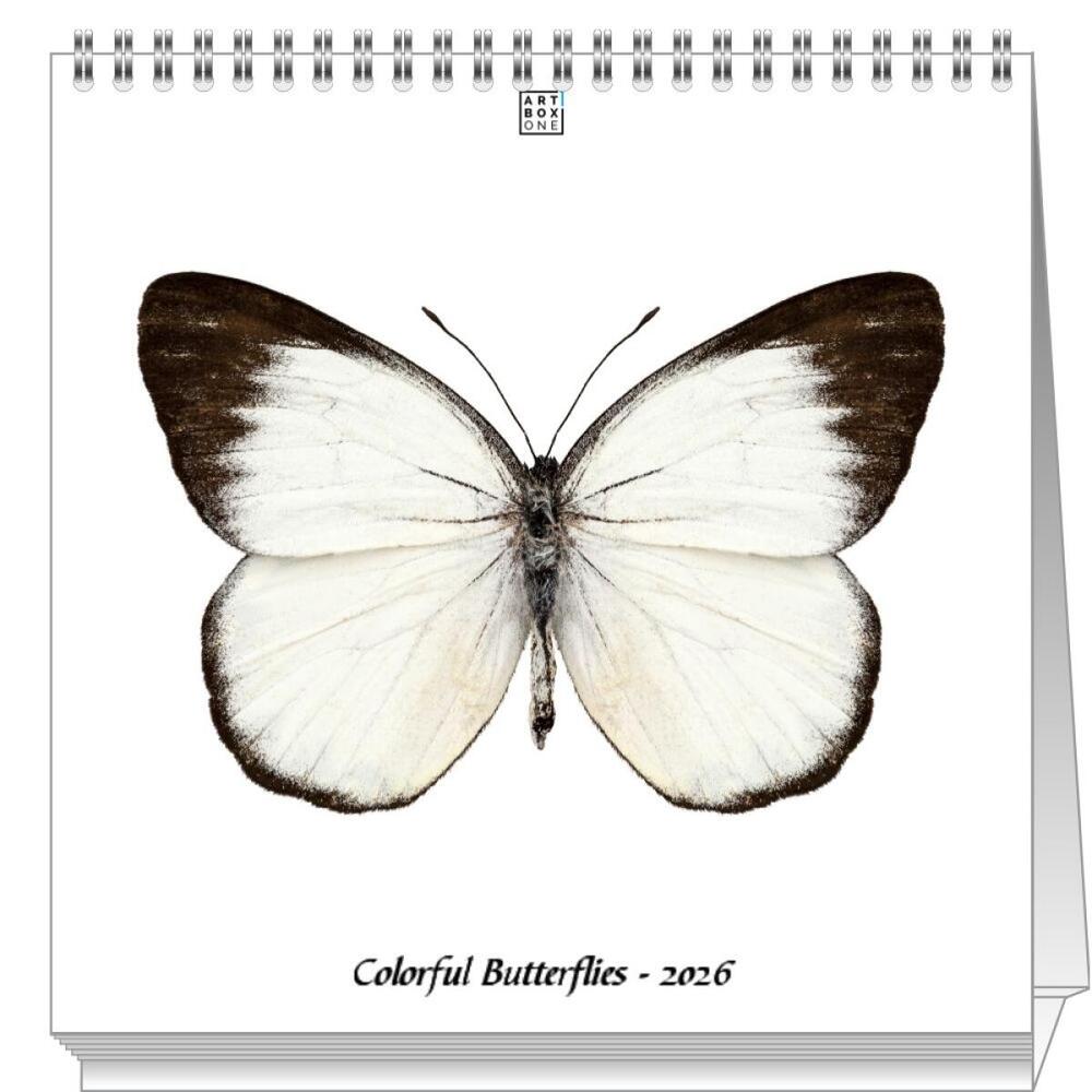 artboxONE Mini-Tischkalender 2026 Colorful Butterflies Tischkalender Klein 2026 Tiere
