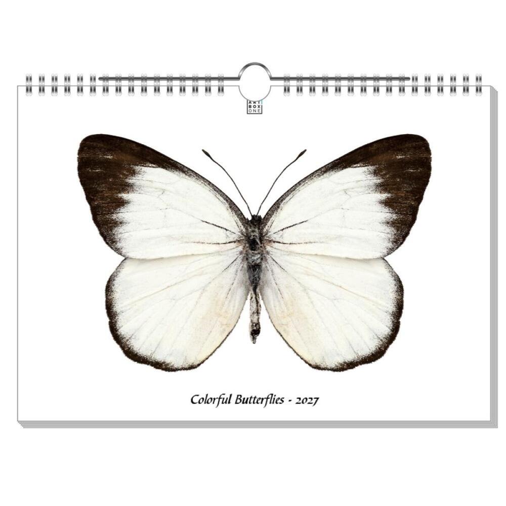 artboxONE Wandkalender A4 2026 Colorful Butterflies Schmetterlinge