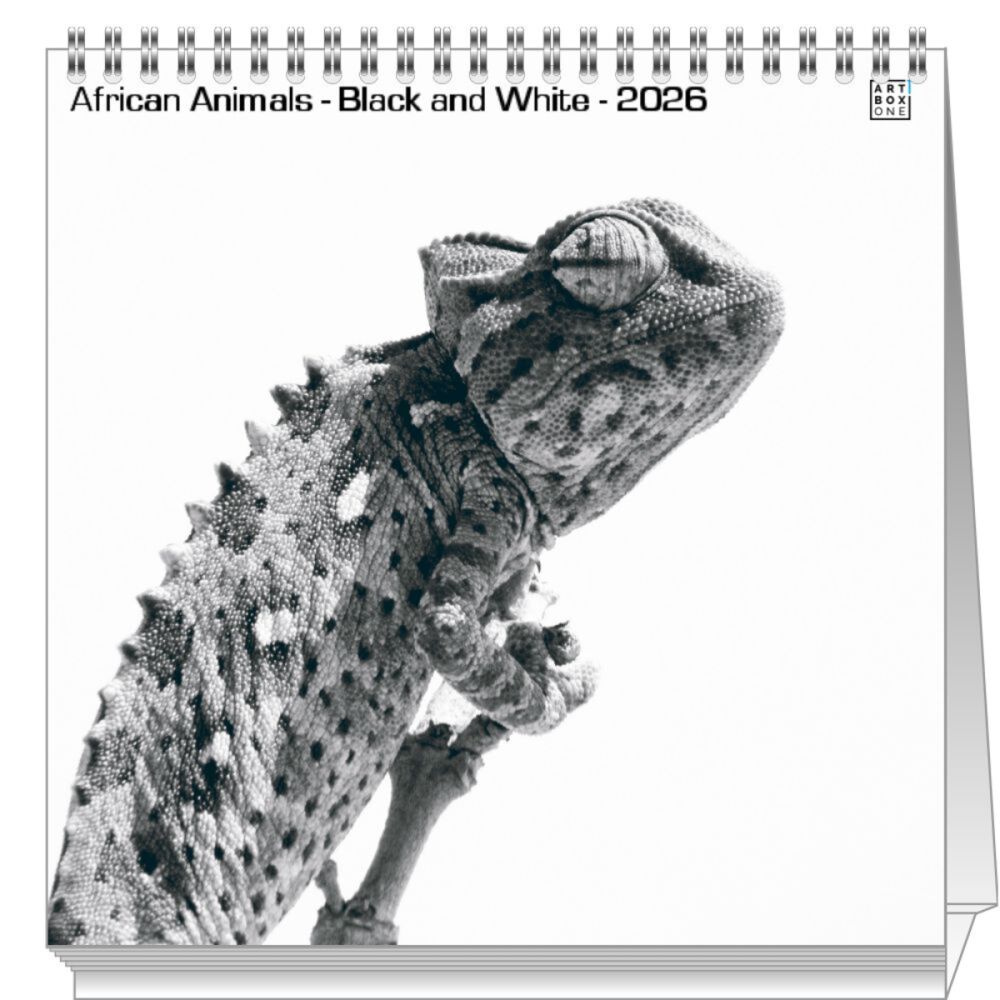 artboxONE Tischkalender 2026 African Animals - Black and White Tischkalender Groß 2026 Tiere