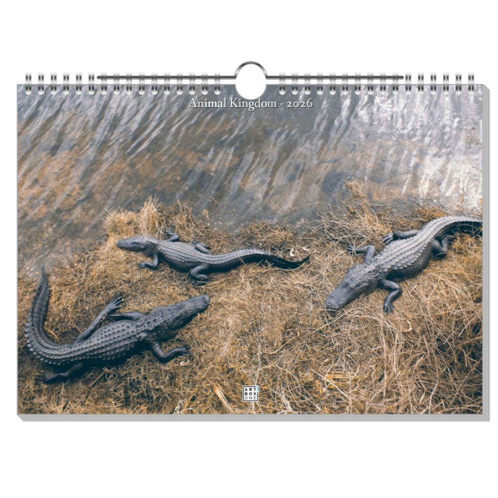 artboxONE Wandkalender A4 2026 Animal Kingdom Tiere