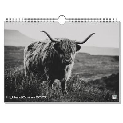 Highland Cows Highland Cows