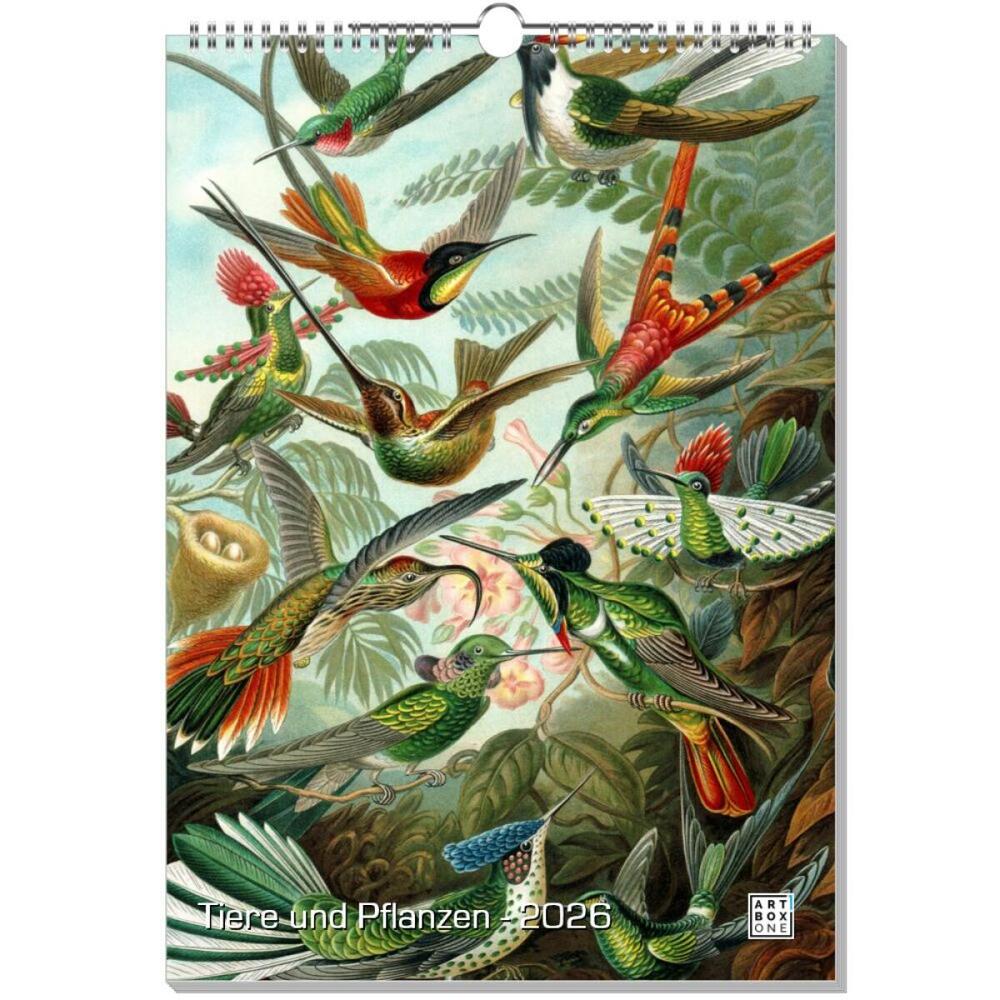 artboxONE Wandkalender A3 2025 Tiere und Pflanzen Infografik
