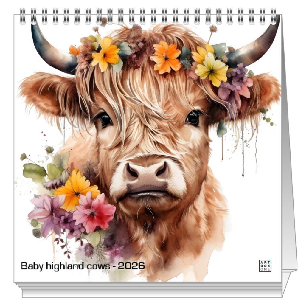 artboxONE Tischkalender 2026 Baby highland cows Tischkalender Groß 2026 Tiere