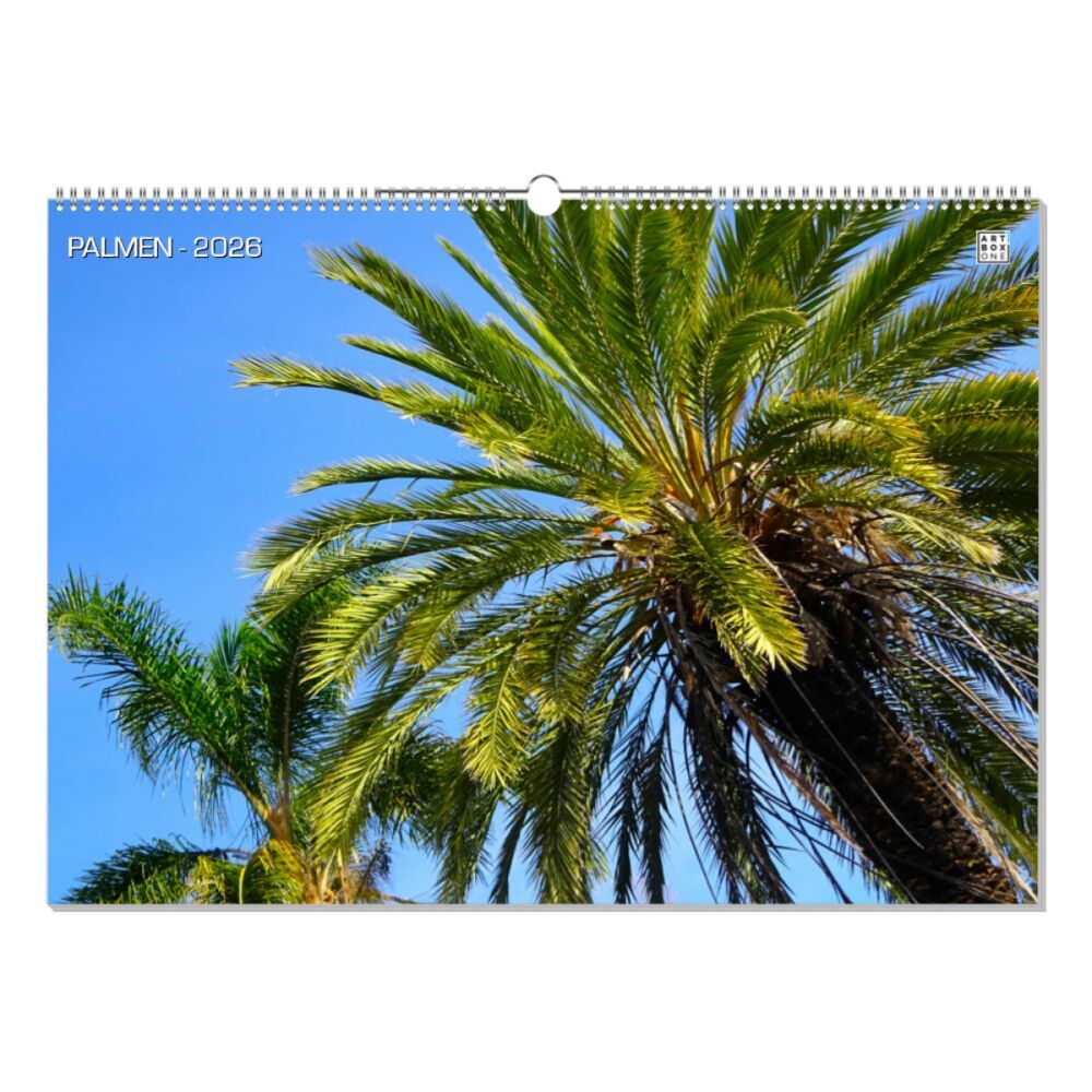 artboxONE Wandkalender A2 2026 PALMEN Palmen