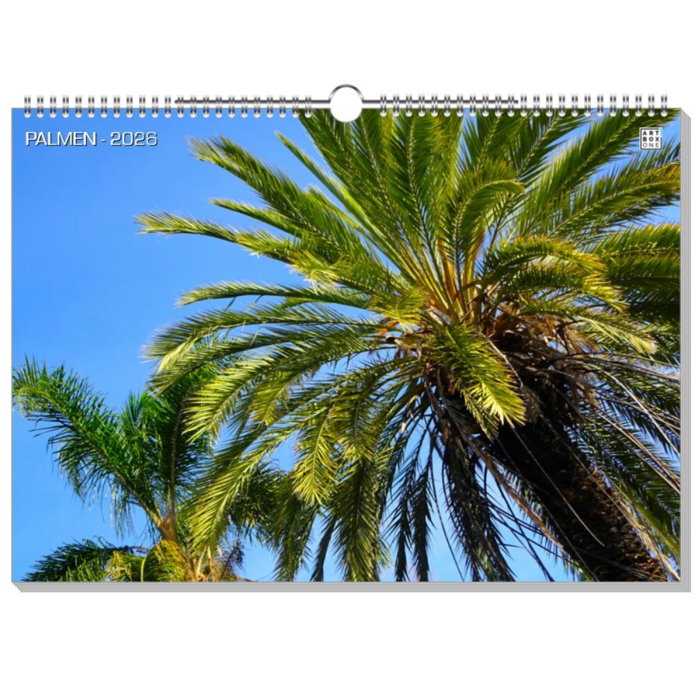 artboxONE Wandkalender A3 2026 PALMEN Palmen