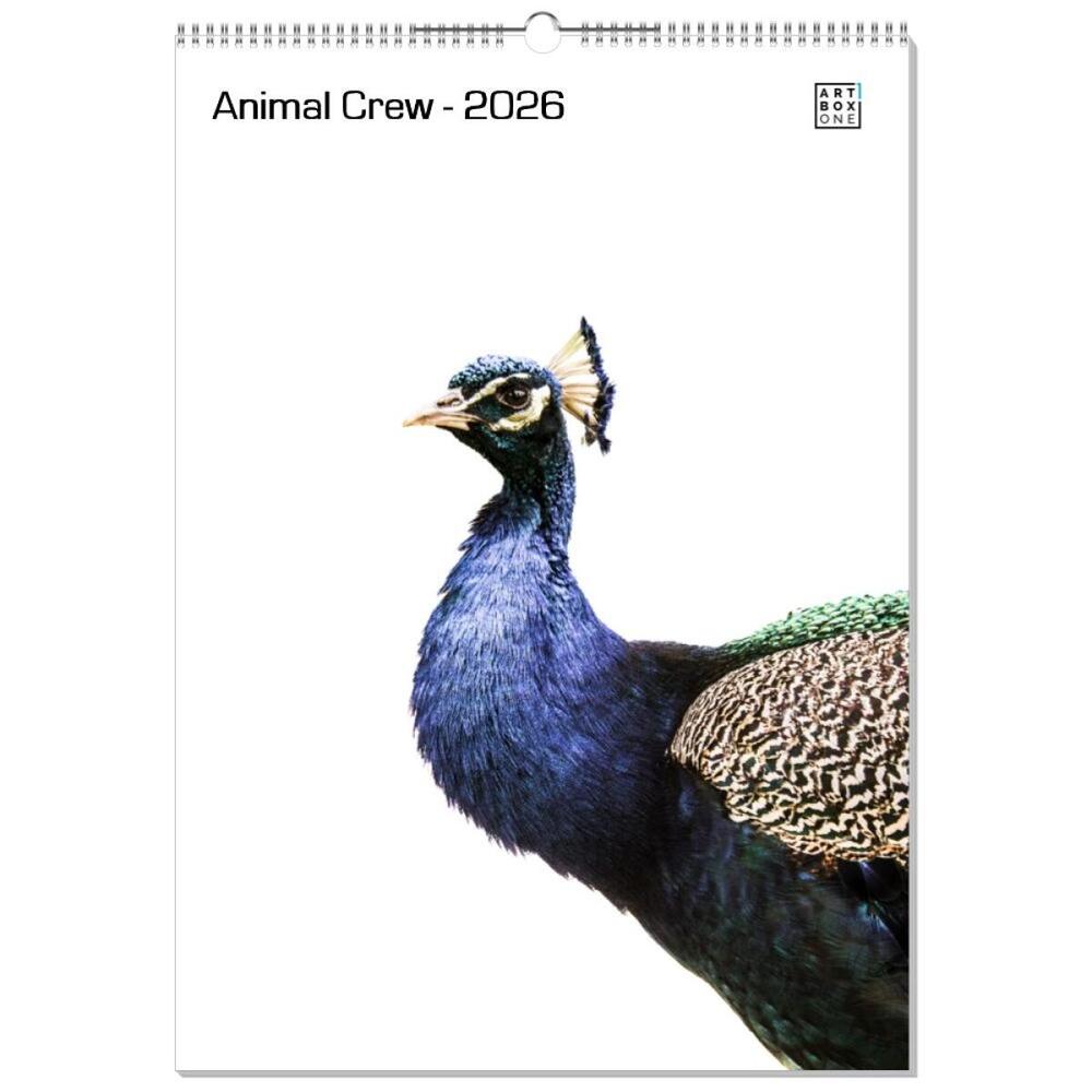 artboxONE Wandkalender A2 2026 Animal Crew Tiere