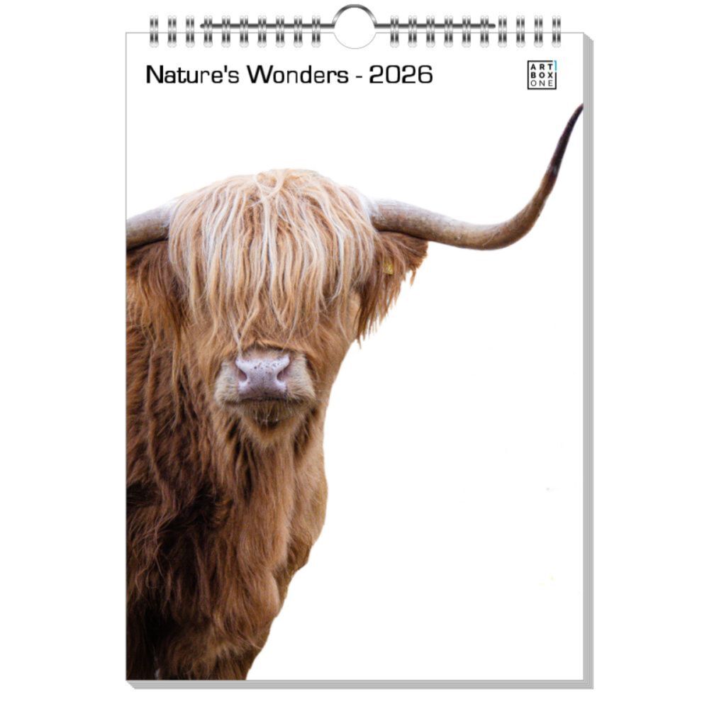 artboxONE Wandkalender A4 2025 Nature's Wonders Natur