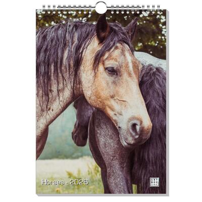Horses