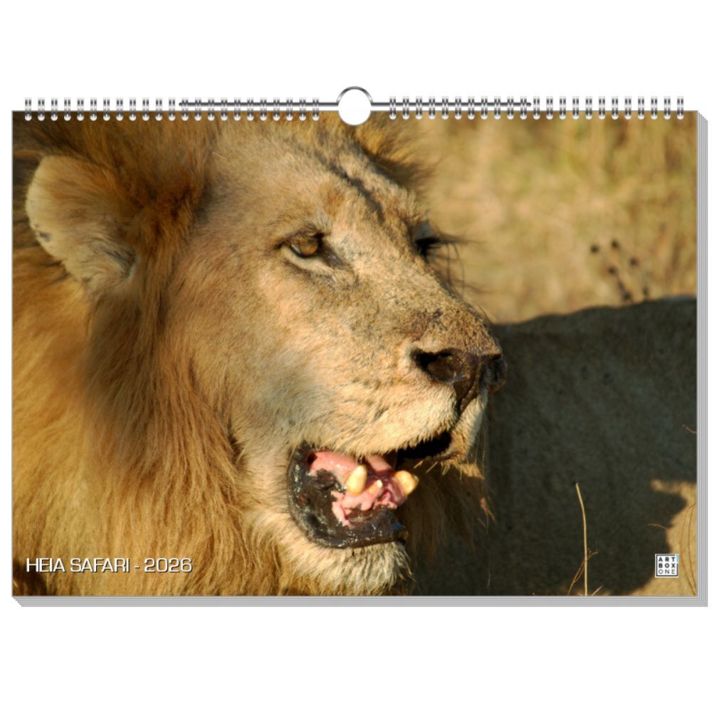 artboxONE Wandkalender A3 2025 HEIA SAFARI Tiere