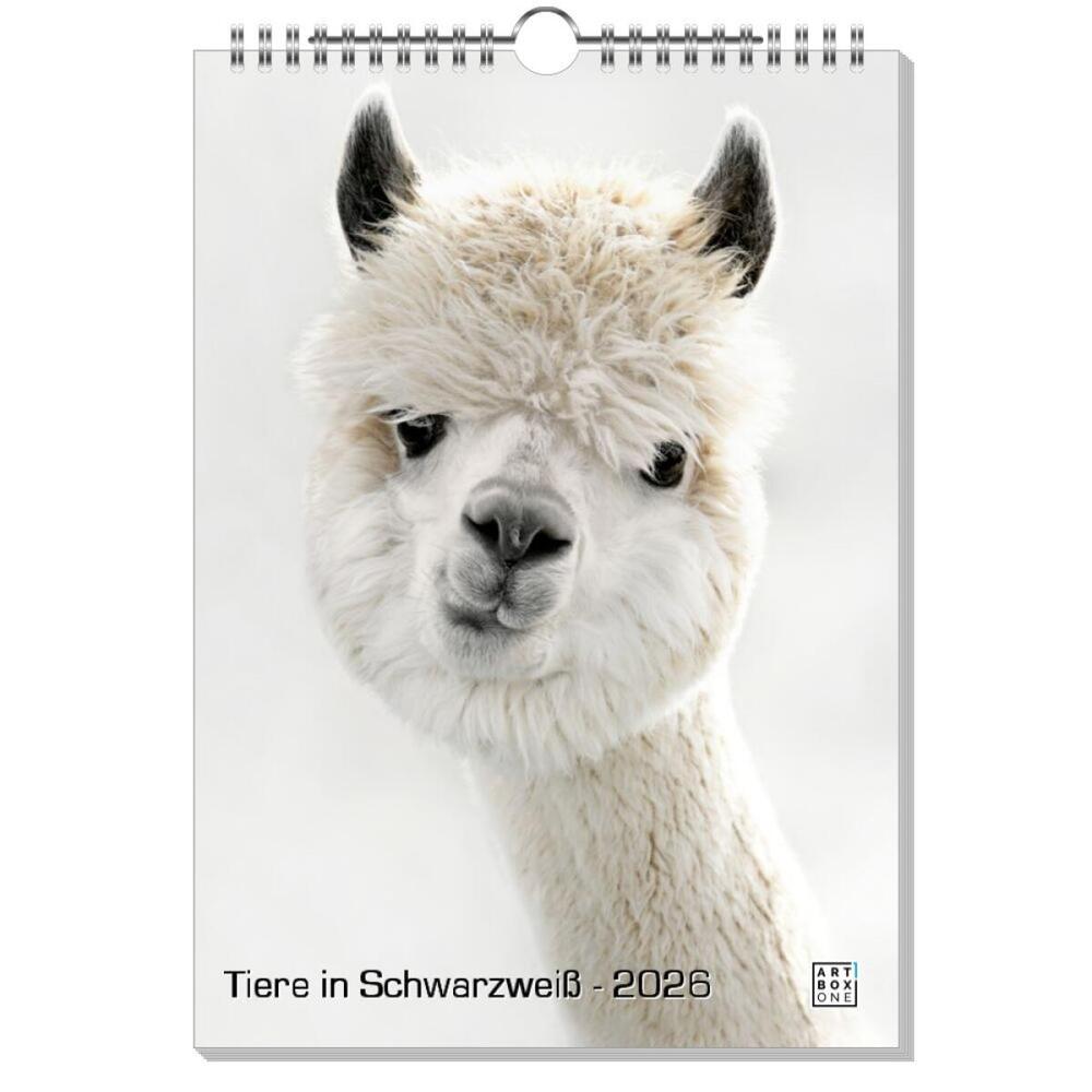 artboxONE Wandkalender A4 2025 Tiere in Schwarzweiß Tiere