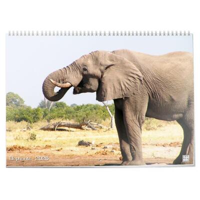 Elephants