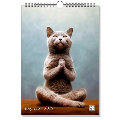 Yoga Katzen