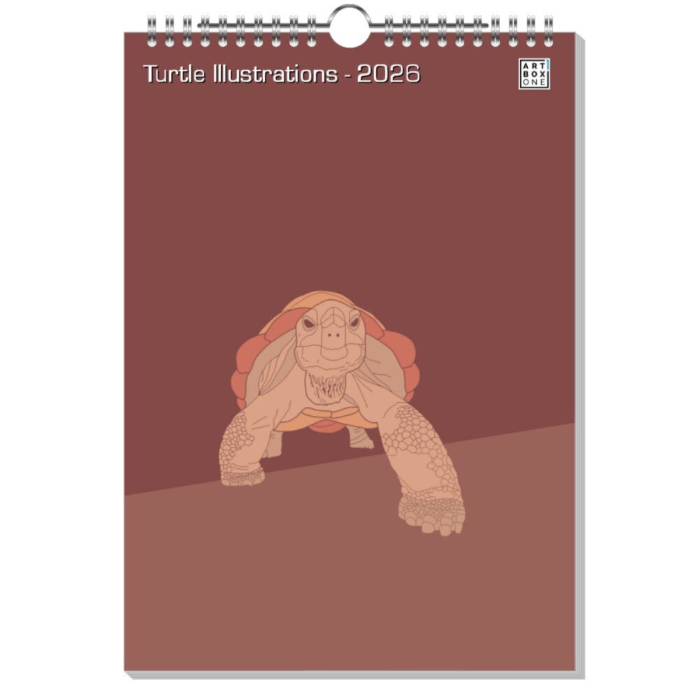 artboxONE Wandkalender A4 2025 Turtle Illustrations Schildkröte