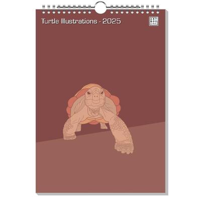 Turtle Illustrations
