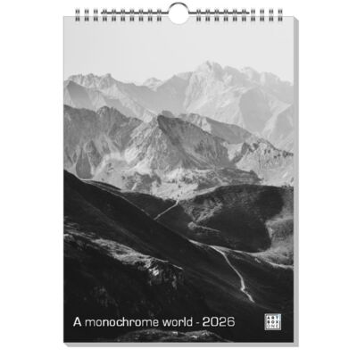 A monochrome world