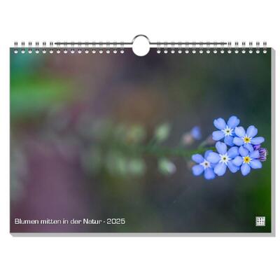 Blumen mitten in der Natur