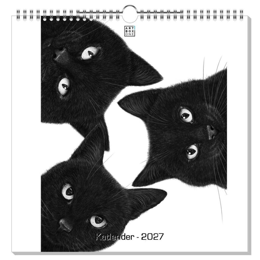 artboxONE Wandkalender Quadratisch 2026 Katlender Katzen