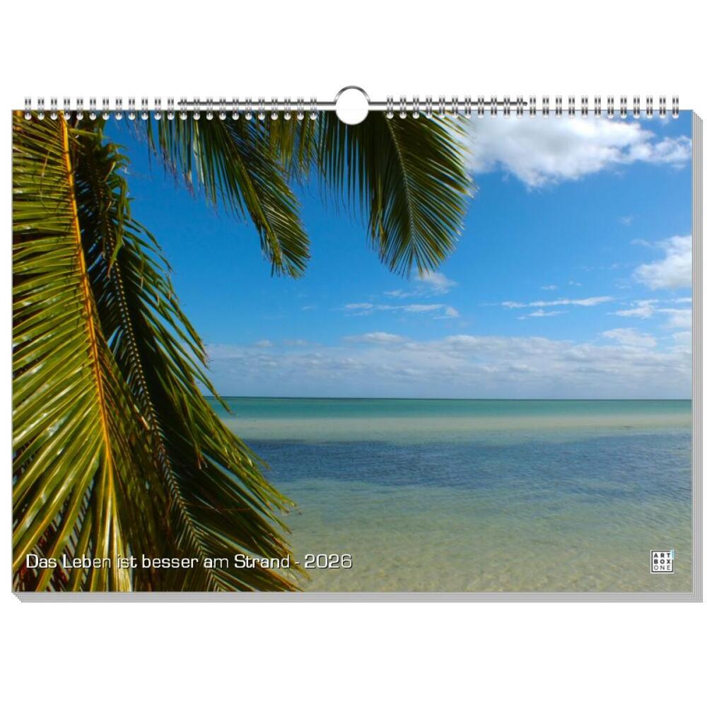 artboxONE Wandkalender A3 2026 Das Leben ist besser am Strand Strand