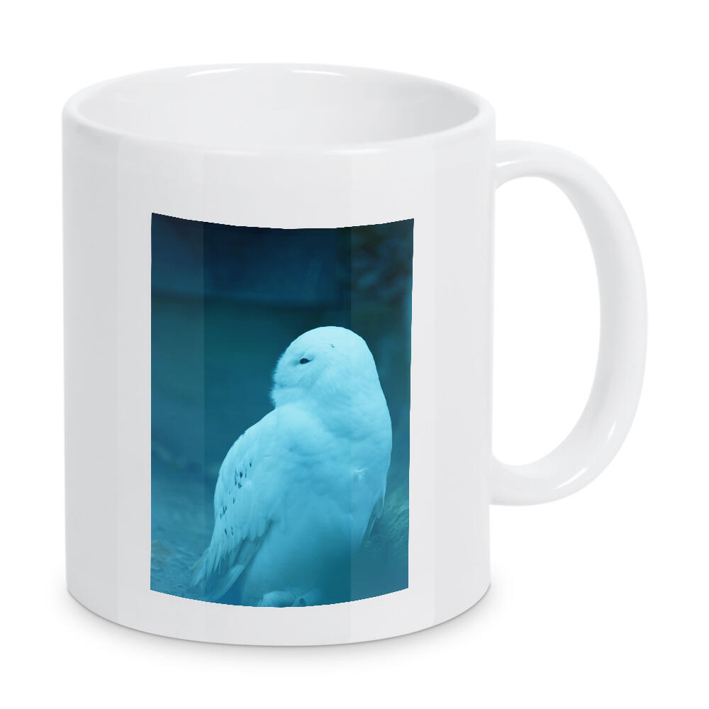 Tasse "Sitzende Schneeeule" artboxONE - Natur,Reise,Tiere