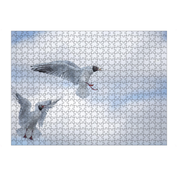 Puzzle Ravensburger "Fly High" artboxONE - Tiere - Möwe,Himmel,Wolken,Fauna,Vögel - Bild Möwe