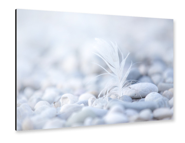 Alu-Dibond "Feder Fokus" 30x20 cm artboxONE