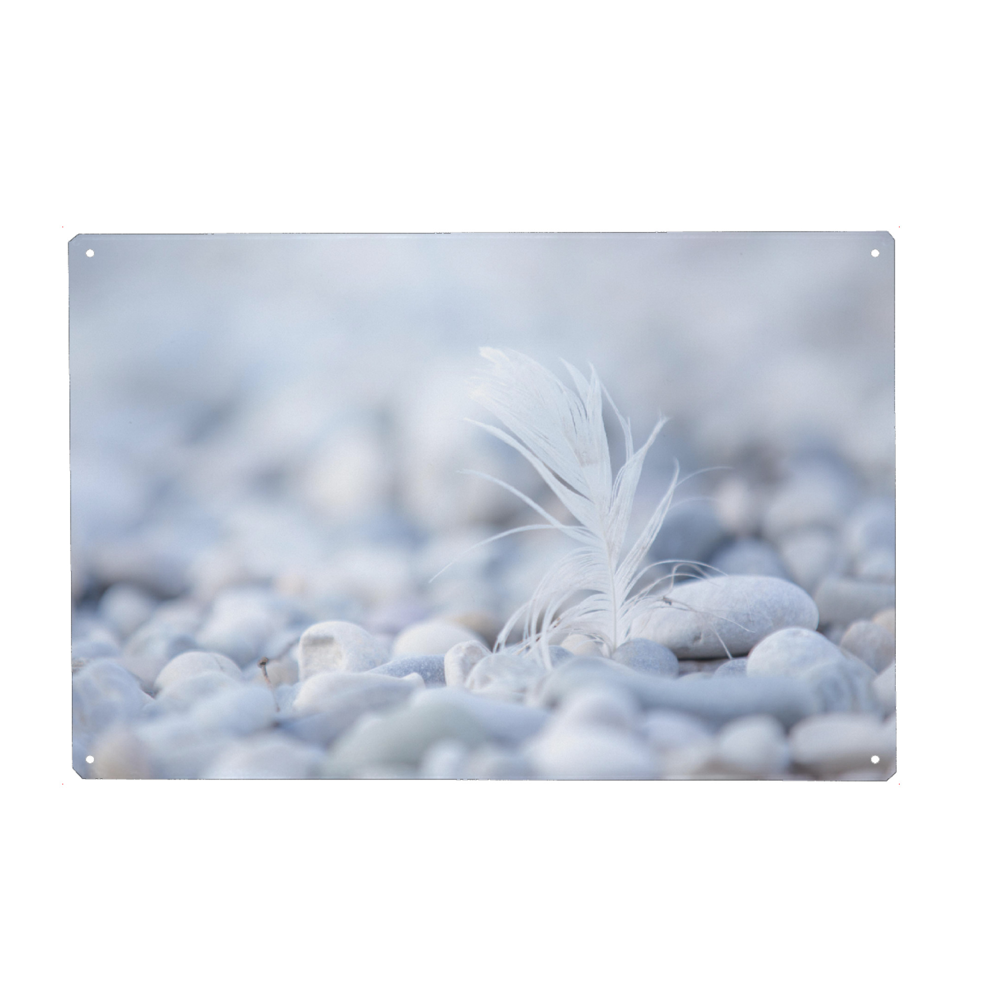Holzbild "Feder Fokus" artboxONE - Natur - Vogel,Entspannung,Steine,Ruhe,Frieden,Erholung