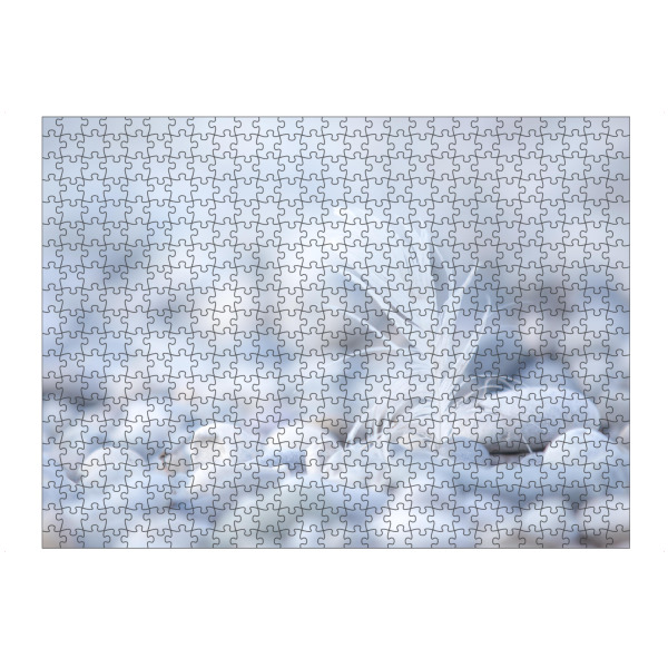 artboxONE Puzzle "Feder Fokus" artboxONE - Natur - Vogel,Entspannung,Steine,Ruhe,Frieden,Erholung - Bild Vogel