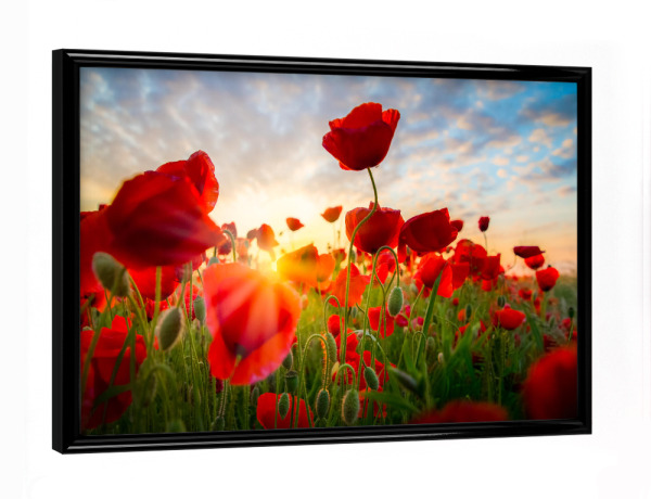 Poster mit schwarzem Rahmen "Poppies sky" artboxONE - Natur,Floral - Poppies,Poppy,Mohnblume,Blume,Blumenfeld,Sonnenschein,Blumenmeer,Natur,Nature