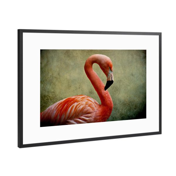 Poster mit Rahmen Schwarz (Metallic) "Flamingo Vintage" artboxONE - Tiere,Fiktion