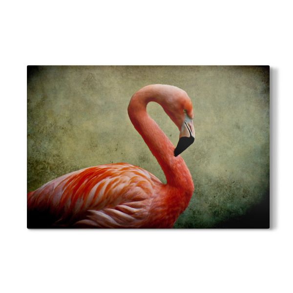 Galerie-Print "Flamingo Vintage" 30x20 cm artboxONE