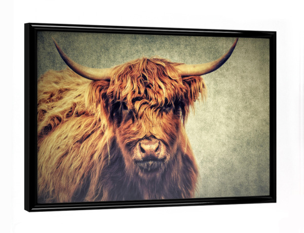 Poster mit schwarzem Rahmen "Highland Cattle Vintage" artboxONE - Natur,Tiere