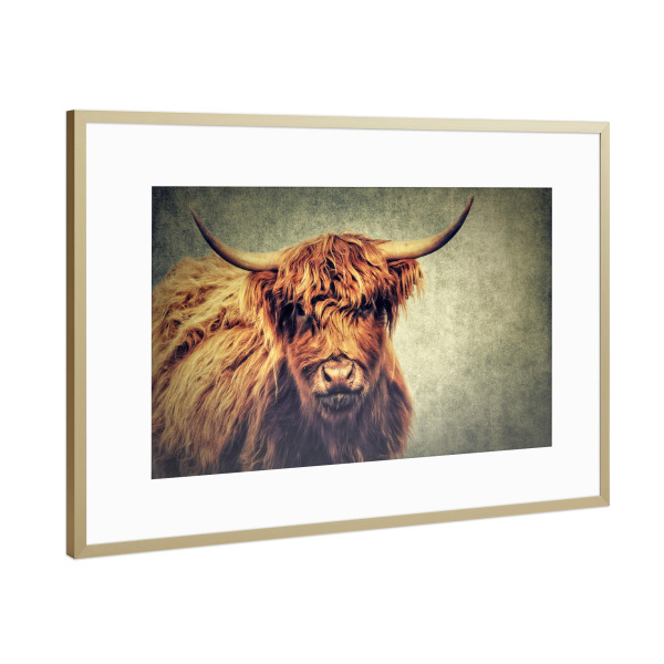Poster mit Rahmen Gold "Highland Cattle Vintage" artboxONE - Natur,Tiere