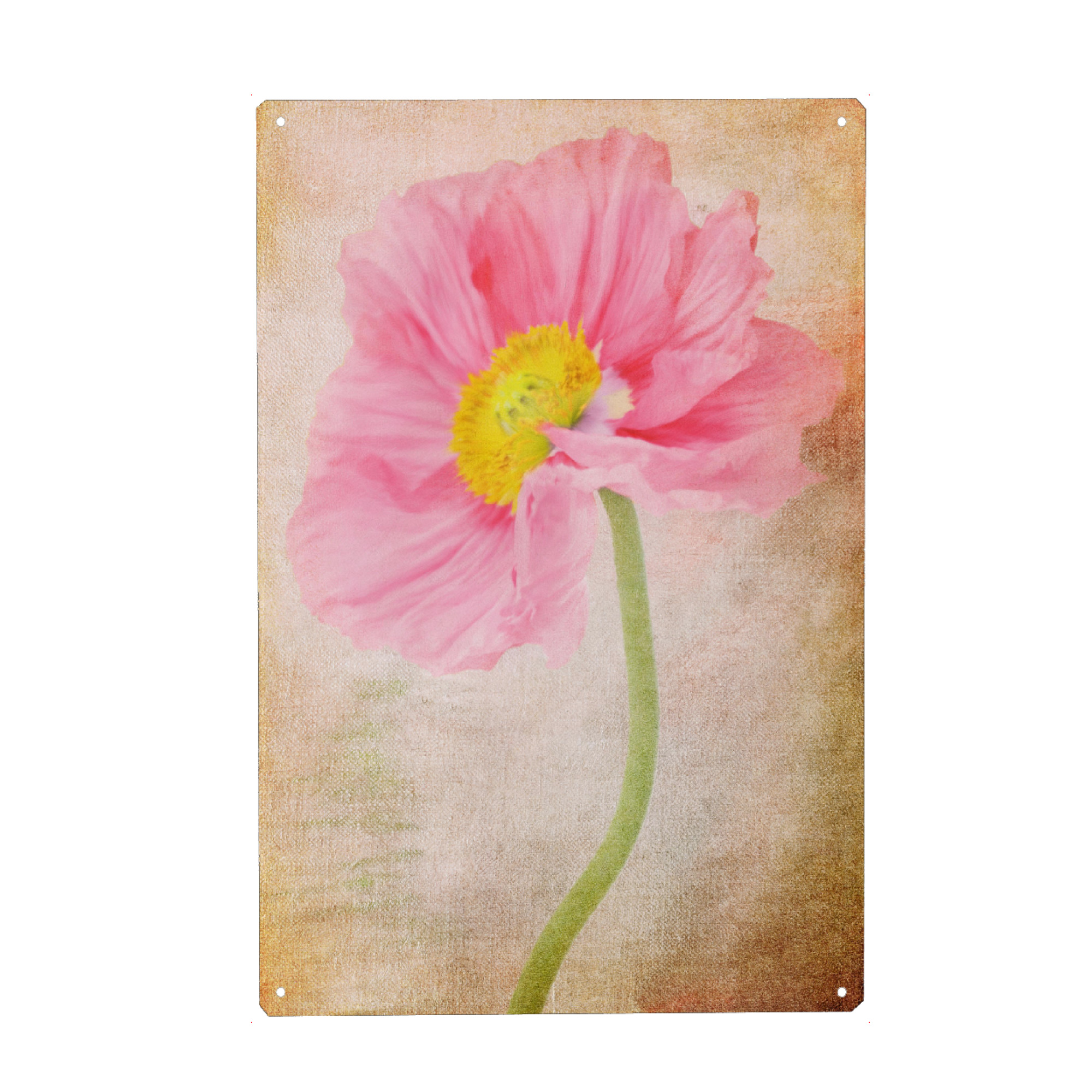 Metall Poster "Rosa Mohnblüte" artboxONE - Natur,Floral,Für Mama - Blume,Mohnblume,Digitale malerei,Digital art,Blüte,Natur,Romantisch,Vintage