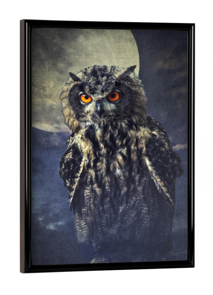 Poster mit schwarzem Rahmen "Eule im Mondschein" artboxONE - Tiere