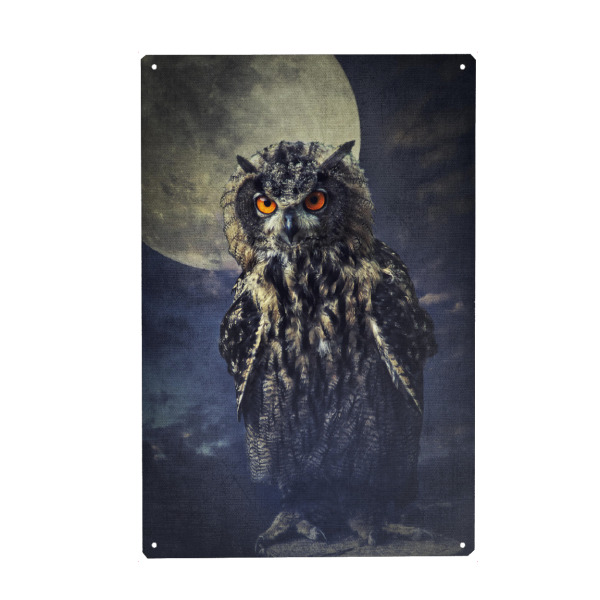 Holzbild "Eule im Mondschein" artboxONE - Tiere - Mond,Uhu,Vogel,Waldtiere,Eule,Mondschein,Mystisch,Tierportrait,Vogelportrait,Großer vogel