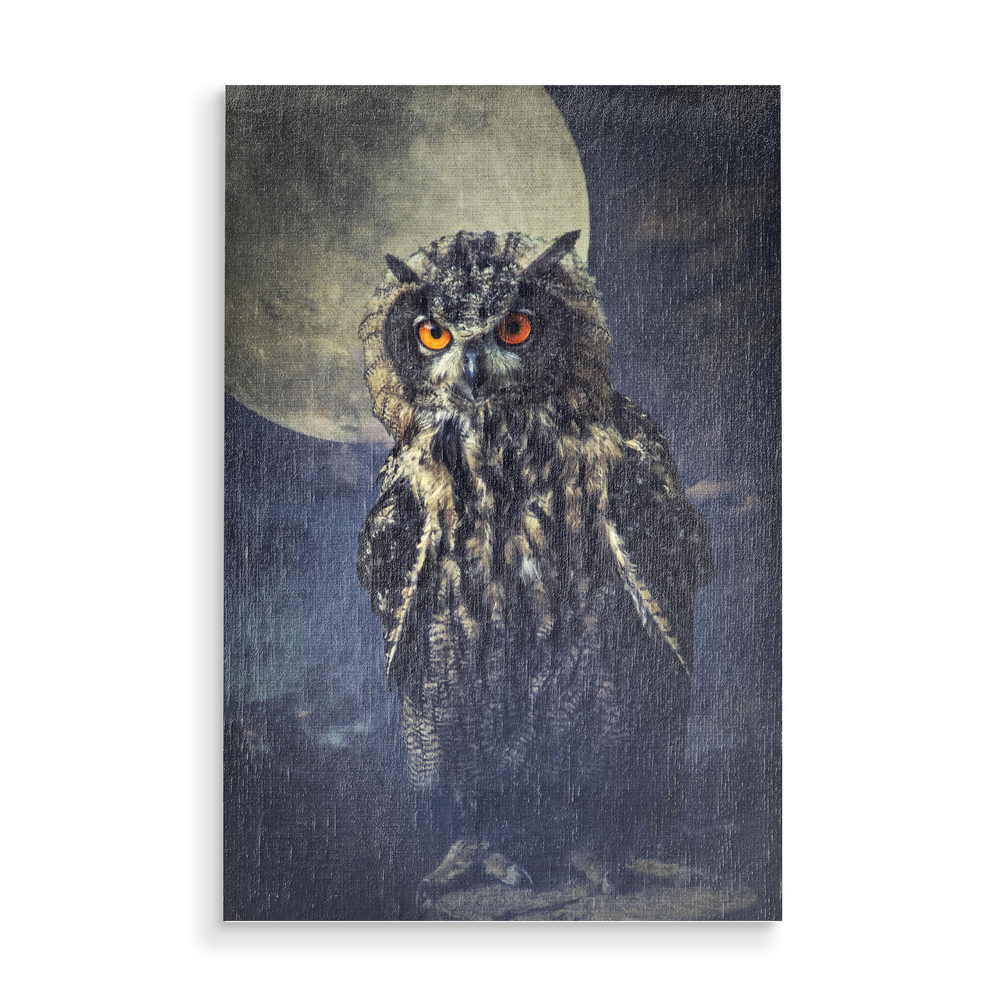 Holzbild "Eule im Mondschein" artboxONE - Tiere - Mond,Uhu,Vogel,Waldtiere,Eule,Mondschein,Mystisch,Tierportrait,Vogelportrait,Großer vogel