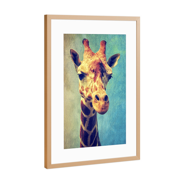 Poster mit Rahmen Kupfer "Funny Giraffe" artboxONE - Für Kinder,Tiere,Fiktion - Zoo,Animal,Animal portrait,Giraffe,Africa