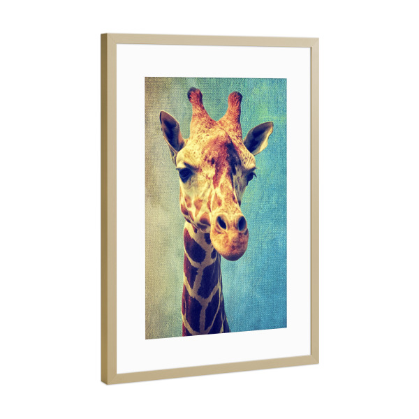 Poster mit Rahmen Gold "Funny Giraffe" artboxONE - Für Kinder,Tiere,Fiktion - Zoo,Animal,Animal portrait,Giraffe,Africa