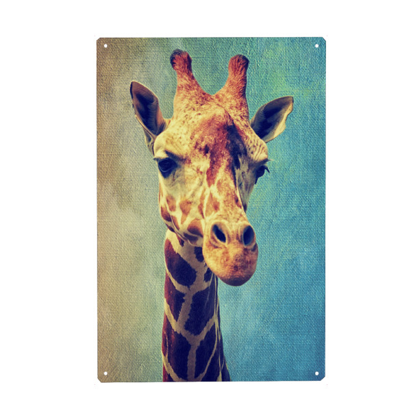 Metall Poster "Funny Giraffe" artboxONE - Für Kinder,Tiere,Fiktion - Zoo,Animal,Animal portrait,Giraffe,Africa - Blechschild